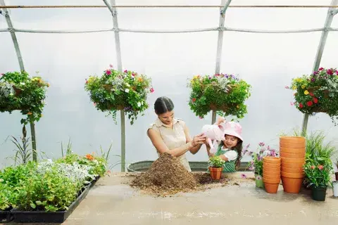 Mezclá la tierra abonada con compost orgánico para el sustrato Mezclá la tierra abonada con compost orgánico para el sustrato