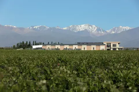 Foto gentileza Domaine Bousquet