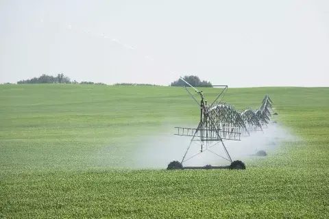 Se puede pensar en un paradigma a gran escala sin utilizar agrotóxicos. Se puede pensar en un paradigma a gran escala sin utilizar agrotóxicos.