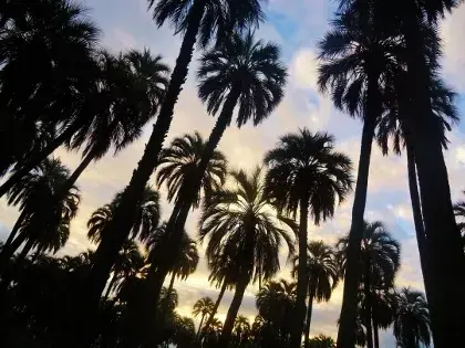 Naturaleza, estoy empezando a escucharte. Naturaleza, estoy empezando a escucharte.