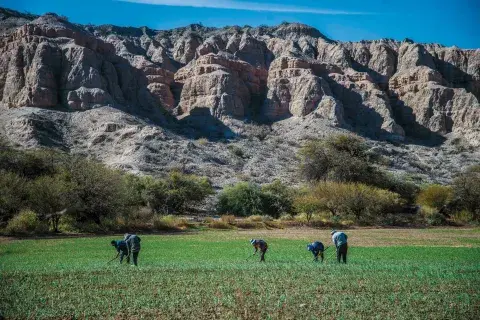 Salta: Quebrada de las Flechas. Salta: Quebrada de las Flechas.
