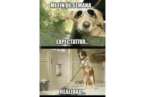 Memes sobre el fin de semana. Foto: www.pintzap.com Memes sobre el fin de semana. Foto: www.pintzap.com