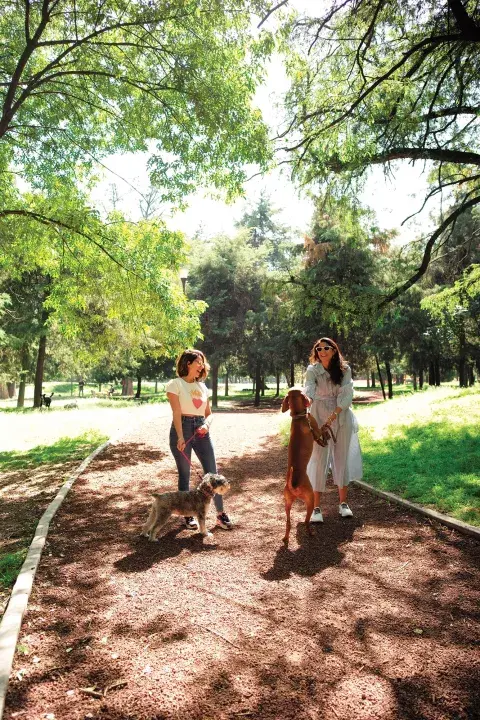 En Chapultepec es habitual ver paseaperros y gente haciendo actividad física y armando pícnics.