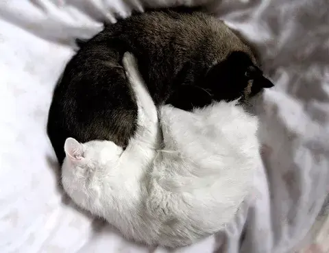 KTFDH6IVKFCSREQMXNA7ZAQ4UQ.jpg KTFDH6IVKFCSREQMXNA7ZAQ4UQ.jpg