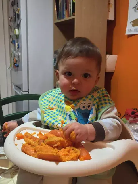 Dante Max, 6 meses Dante Max, 6 meses
