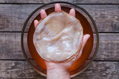 SCOBY es una colonia simbiótica de levaduras y bacterias. Foto: Canva SCOBY es una colonia simbiótica de levaduras y bacterias. Foto: Canva