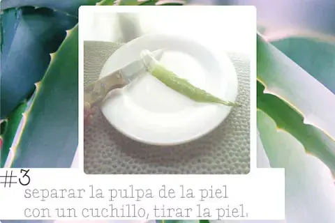 MLPOAAA2YNH7PH3WM5ASZ45LQE.jpg