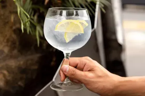 Con proteína natural, licor de hierbas y toques refrescantes. Foto: Desarmadero Bar y Desarmadero Session Con proteína natural, licor de hierbas y toques refrescantes. Foto: Desarmadero Bar y Desarmadero Session