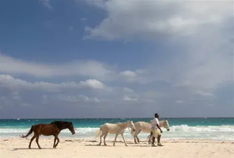 En Harbour Island, Bahamas, las arenas son rosadas