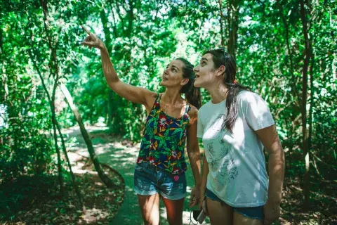 Hay variedad de excursiones, tales como Safari 4x4 por la selva virgen misionera Hay variedad de excursiones, tales como Safari 4x4 por la selva virgen misionera