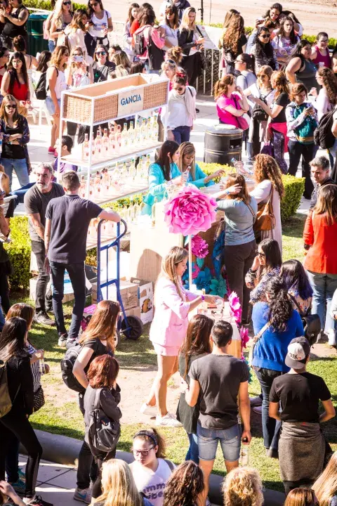 Más de 10.000 mujeres se sumaron al evento femenino más grande del país. Más de 10.000 mujeres se sumaron al evento femenino más grande del país.