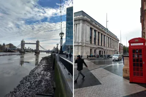 Por primera vez en la historia el país enfrenta una desocupación de más del 50%. Por primera vez en la historia el país enfrenta una desocupación de más del 50%.