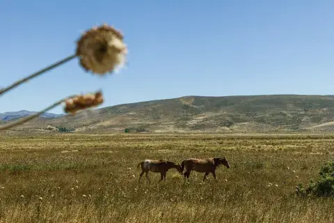 OH3U76DG2RAKTKWXPVPB3L2AMA.jpg OH3U76DG2RAKTKWXPVPB3L2AMA.jpg