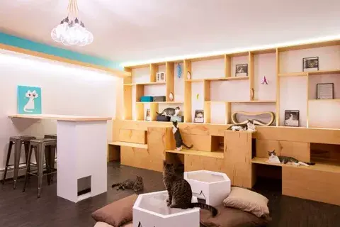 OI6SQFGOTJD3ZPJXPLBQVMJ674.jpg OI6SQFGOTJD3ZPJXPLBQVMJ674.jpg
