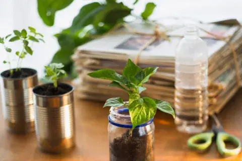 Animate a armar tu huerta en casa