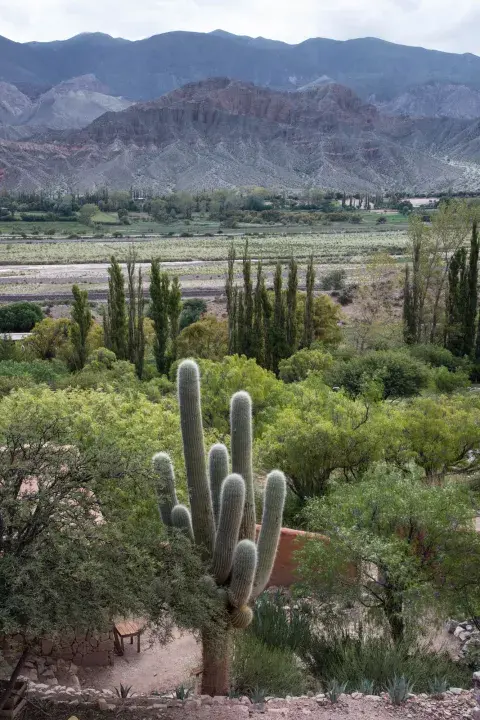Revista Jardín Revista Jardín
