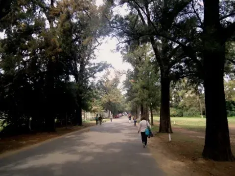 Camino verde. Facultad de Agronomía de la UBA Camino verde. Facultad de Agronomía de la UBA