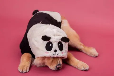 PWKXBAEGFJCN5IQV5P36JNSNDM.jpg PWKXBAEGFJCN5IQV5P36JNSNDM.jpg