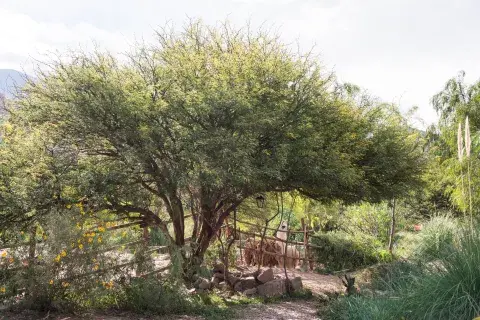 Revista Jardín Revista Jardín
