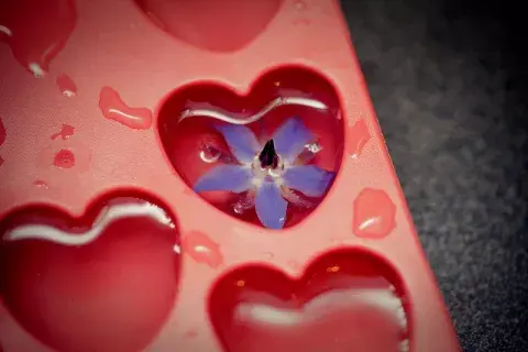 Hielos en forma de corazón, decorados con flores