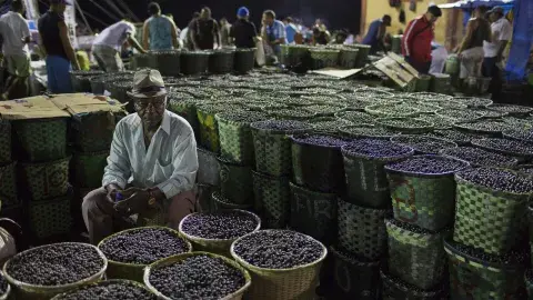 Tradiciones indígenas y sabores exóticos, en el norte de Brasil Tradiciones indígenas y sabores exóticos, en el norte de Brasil