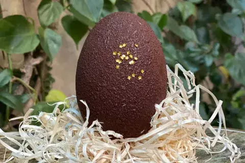 En Casa Cavia los huevos llegan rellenos con trufas. En Casa Cavia los huevos llegan rellenos con trufas.