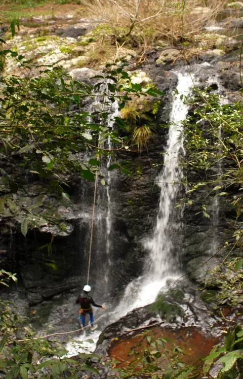 En cada rincón de la selva y el parque nacional, tenés una oportunidad de abrirte a la aventura. En cada rincón de la selva y el parque nacional, tenés una oportunidad de abrirte a la aventura.