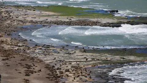 La ruta 1 es un recorrido por distintos tesoros naturales de la costa patagónica La ruta 1 es un recorrido por distintos tesoros naturales de la costa patagónica