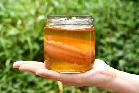 La kombucha parece tener beneficios para la salud. Foto: Canva La kombucha parece tener beneficios para la salud. Foto: Canva