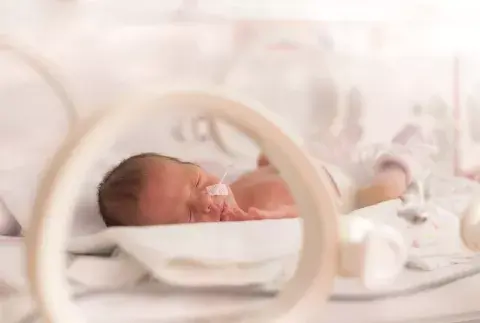 La enfermera de neonatología Noelia Maugouber habla de una realidad con los bebés prematuros: “La primera barrera que encontramos es que a veces la mamá no se anima a hacer upa a su bebé”. La enfermera de neonatología Noelia Maugouber habla de una realidad con los bebés prematuros: “La primera barrera que encontramos es que a veces la mamá no se anima a hacer upa a su bebé”.