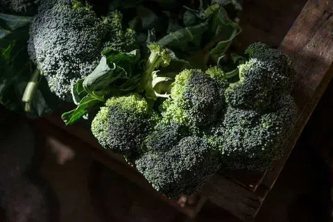 A cultivar que se acaba el mundo; un emprendimiento de productos agroecológicos y orgánicos demuestra que se puede, y que cada vez son más