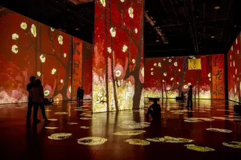 Foto gentileza de Imagine Van Gogh Foto gentileza de Imagine Van Gogh