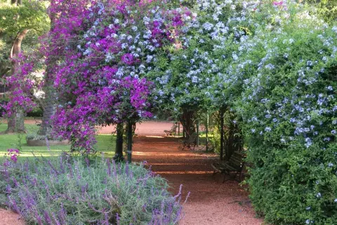 El Jardín Botánico, un pulmón verde y mucho más en la ciudad. El Jardín Botánico, un pulmón verde y mucho más en la ciudad.