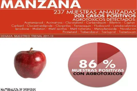 El uso de agroquímicos perjudica nuestro suelo y nuestra salud. El uso de agroquímicos perjudica nuestro suelo y nuestra salud.