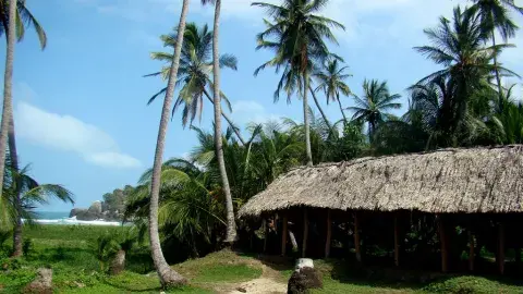 Parque nacional natural Tayrona