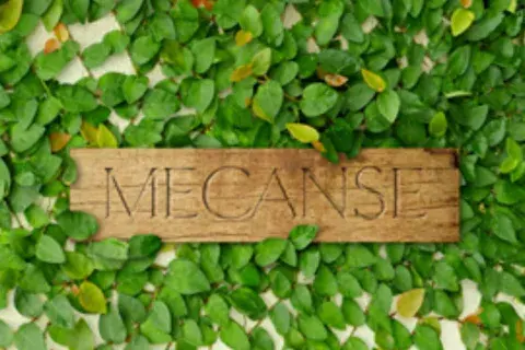 X2E5NBCGPRCPPJ43QPJAY7G3KU.jpg