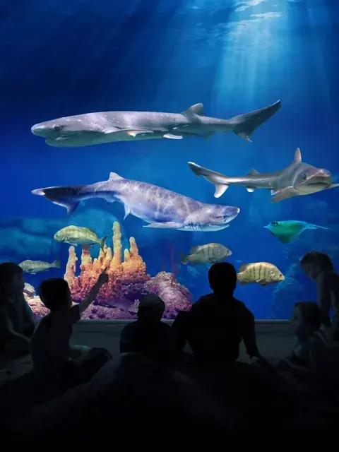 XQMIF75IJBC65FPAXMWG4NGWPY.jpg XQMIF75IJBC65FPAXMWG4NGWPY.jpg