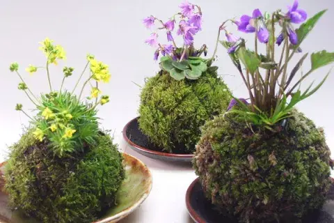 XQWFFOFCRBHSPMITCNVXXSZI3Q.jpg