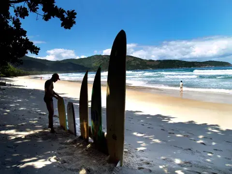 Arena y Mata Atlántica, en Ilha Grande Arena y Mata Atlántica, en Ilha Grande