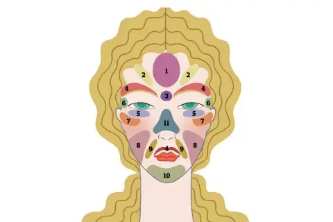 Cada punto del rostro refleja una zona del cuerpo. Cada punto del rostro refleja una zona del cuerpo.