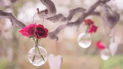 Saber apreciar las bondades que nos rodean Saber apreciar las bondades que nos rodean