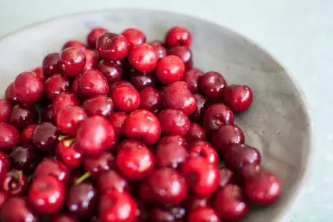 Arándanos rojos o cranberries Arándanos rojos o cranberries