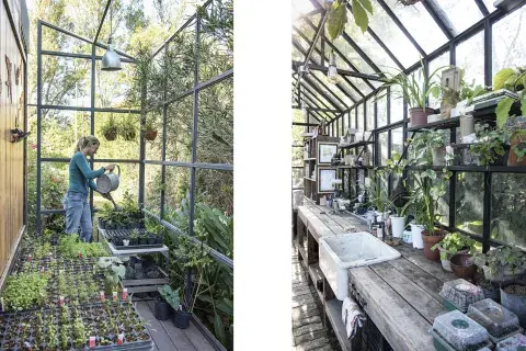 jardin de invierno- bbb.jpg jardin de invierno- bbb.jpg