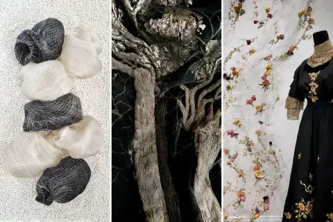 1. matta. Metamorfosis.jpg 1. matta. Metamorfosis.jpg