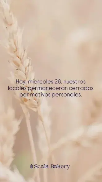 Historia de Instagram.png Historia de Instagram.png
