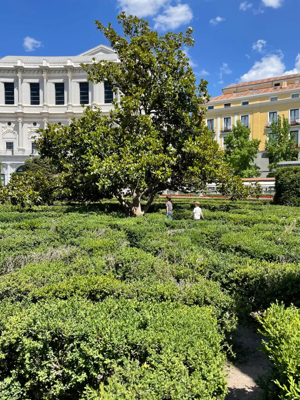 Laberintos del Palacio Real