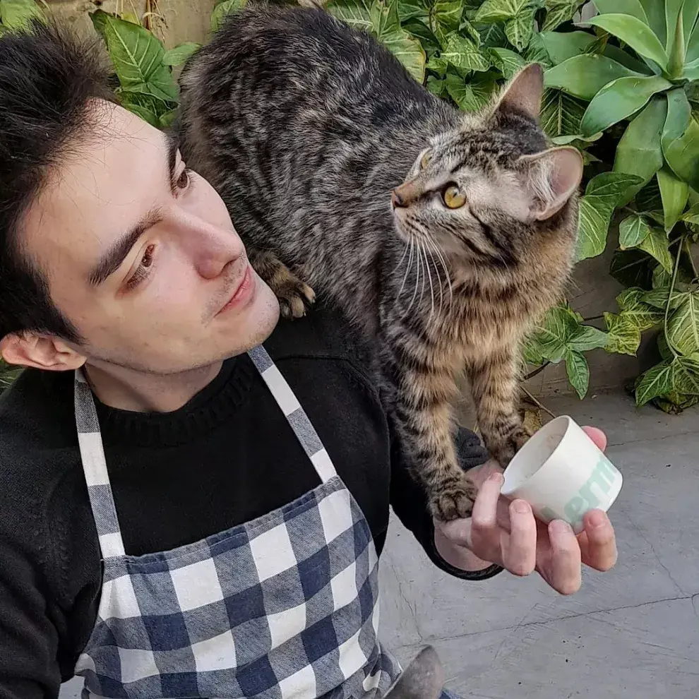 Los gatos son las estrellas invitadas de Cat Café de Buenos Aires.