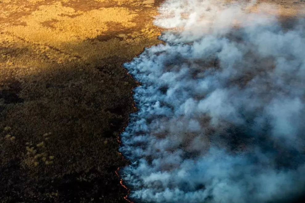 Incendios forestales en el Río Paraná
