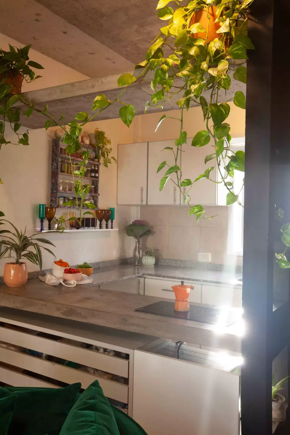 Las plantas son uno de los leitmotivs de la casa: adornan escaleras, estantes aéreos y marcos de ventanas. Para Romi la naturaleza también es una forma de compañía. 