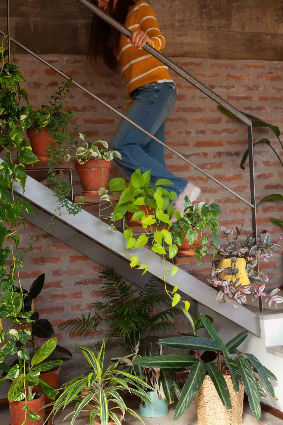 Las plantas son uno de los leitmotivs de la casa: adornan escaleras, estantes aéreos y marcos de ventanas. Para Romi la naturaleza también es una forma de compañía. 